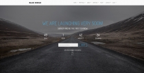 Blue Ridge - MultiPurpose Portfolio HTML Template Screenshot 13
