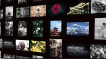 Shader Grid Two JavaScript Plugin Screenshot 7